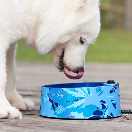 PROS AND CONS OF USING WATER BOWLS FOR YOUR PETS