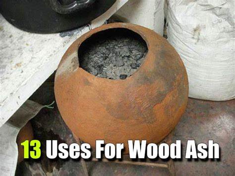 13 BEST USES OF FIRE PIT ASH