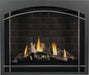 Napoleon Direct Vent Fireplace Napoleon - Altitude X Direct Vent 42" Natural Gas Fireplace