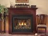 American Hearth Direct Vent Fireplace American Hearth - Madison Direct-Vent Fireplace, Deluxe 32 MV, Blower, Nat
