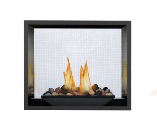 Napoleon Direct Vent Fireplace Napoleon High Definition Series - Direct Vent, Electronic Ignition - Natural Gas / Liquid Propane