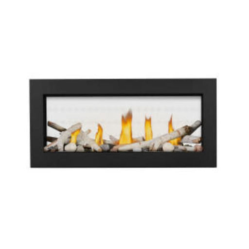 Napoleon Direct Vent Fireplace Napoleon VECTOR™ 38 Series Linear Gas Fireplace - See Through, Direct Vent, Electronic Ignition - Natural Gas / Liquid Propane