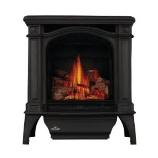 Napoleon Gas Stove Napoleon Bayfield™ Series Direct vent, Cast Iron, Alternate Electronic Ignition - Natural Gas/Liquid Propane