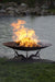 The Fire Pit Gallery Fire Bowl The Fire Pit Gallery - Earth & Sky 53 inch Sculptural Firebowl Craggy Tree Base